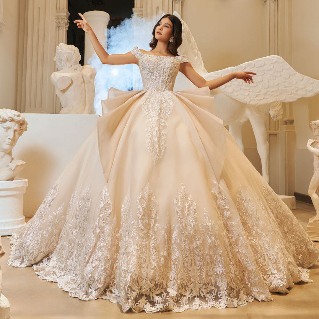 Vestido de Quince Años Ref. R66